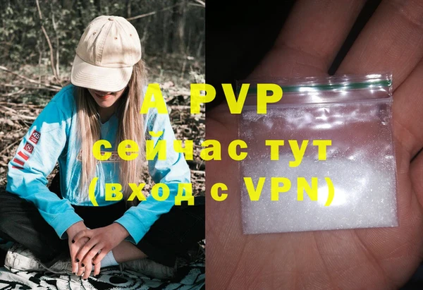 ПСИЛОЦИБИНОВЫЕ ГРИБЫ Верхний Тагил