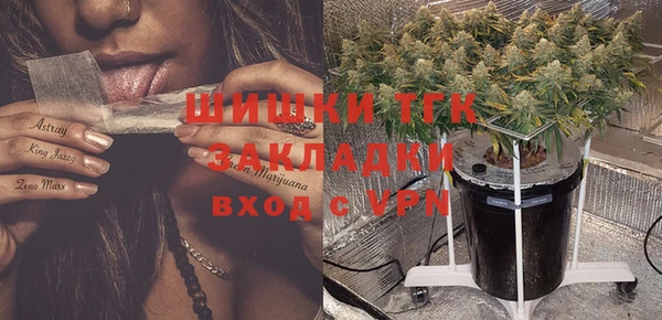 ПСИЛОЦИБИНОВЫЕ ГРИБЫ Верхний Тагил