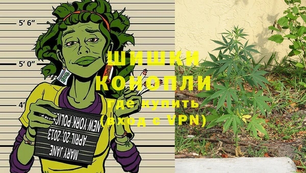 ПСИЛОЦИБИНОВЫЕ ГРИБЫ Верхний Тагил