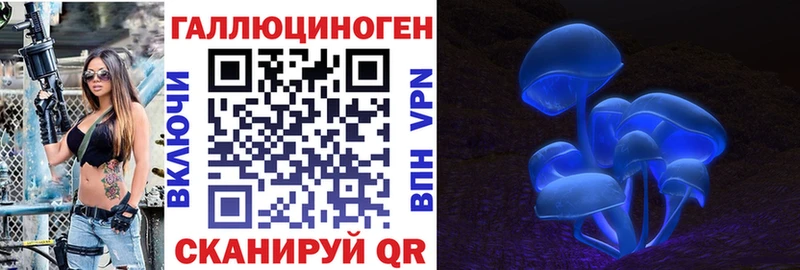 как найти наркотики  Нея  кракен зеркало  Псилоцибиновые грибы Psilocybe 